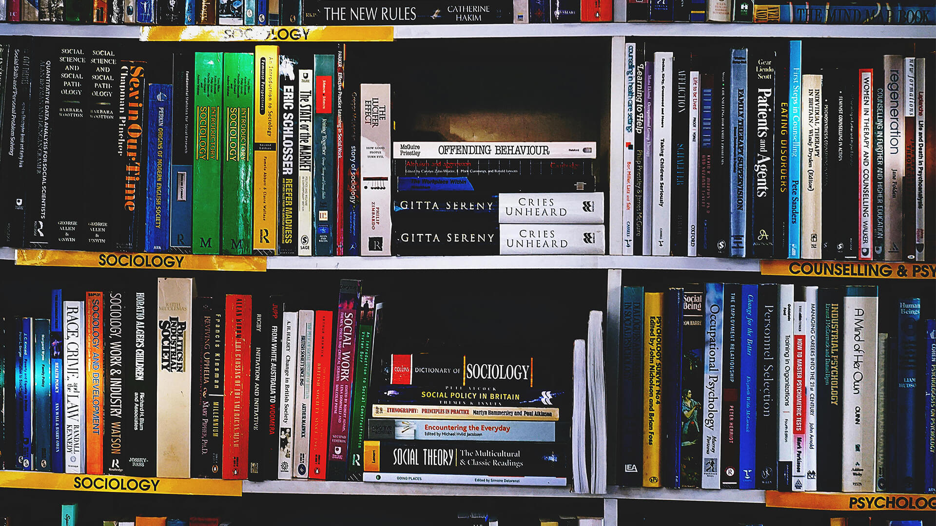 Sociology and Psychology textbooks on shelf in library.