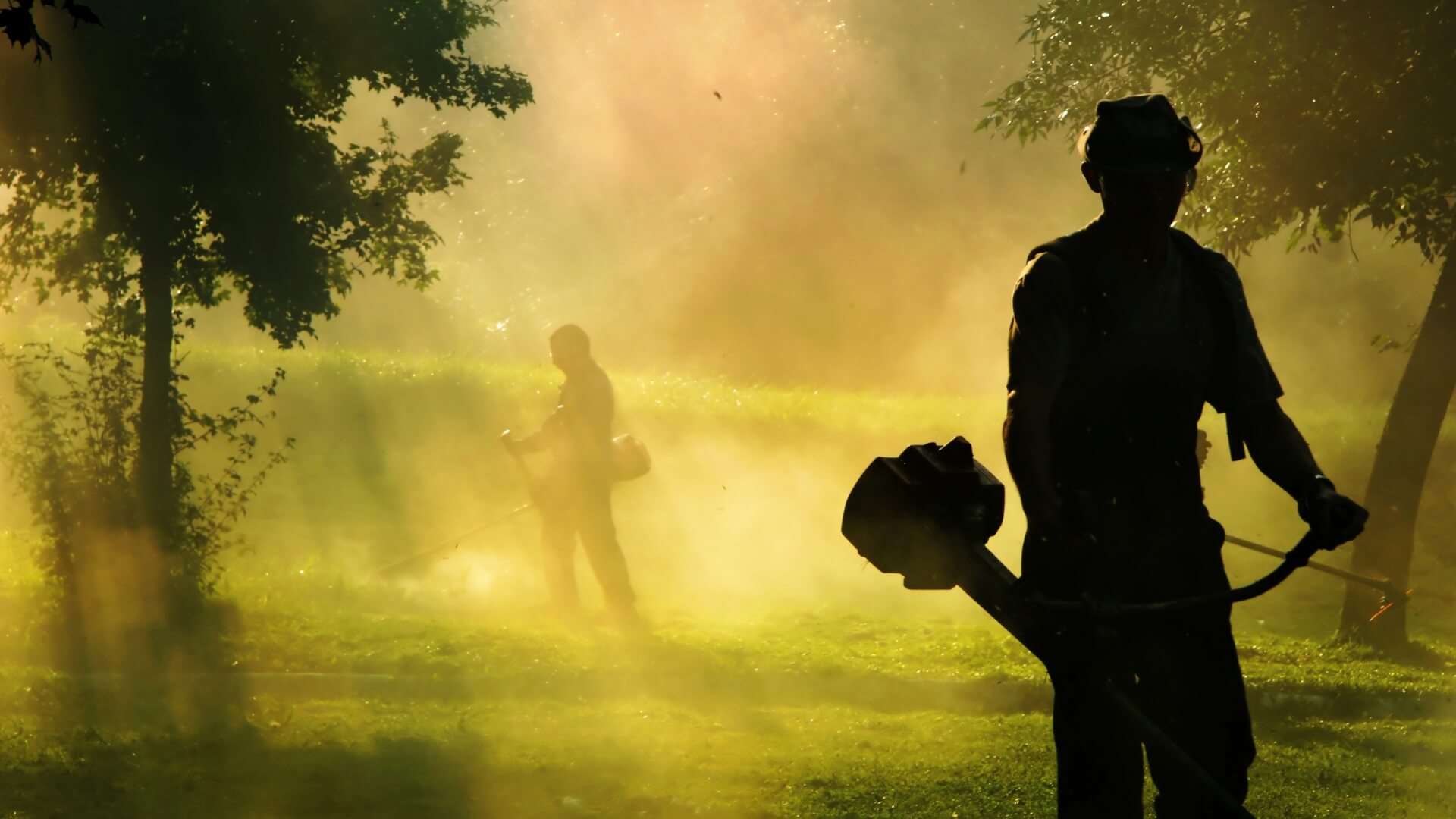 Close up of person using bush cutter on hedge