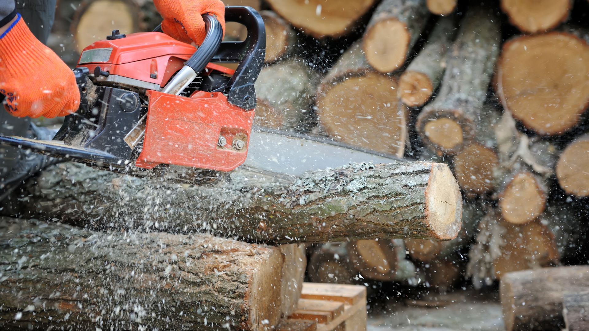 Close up of chainsaw cutting into log.