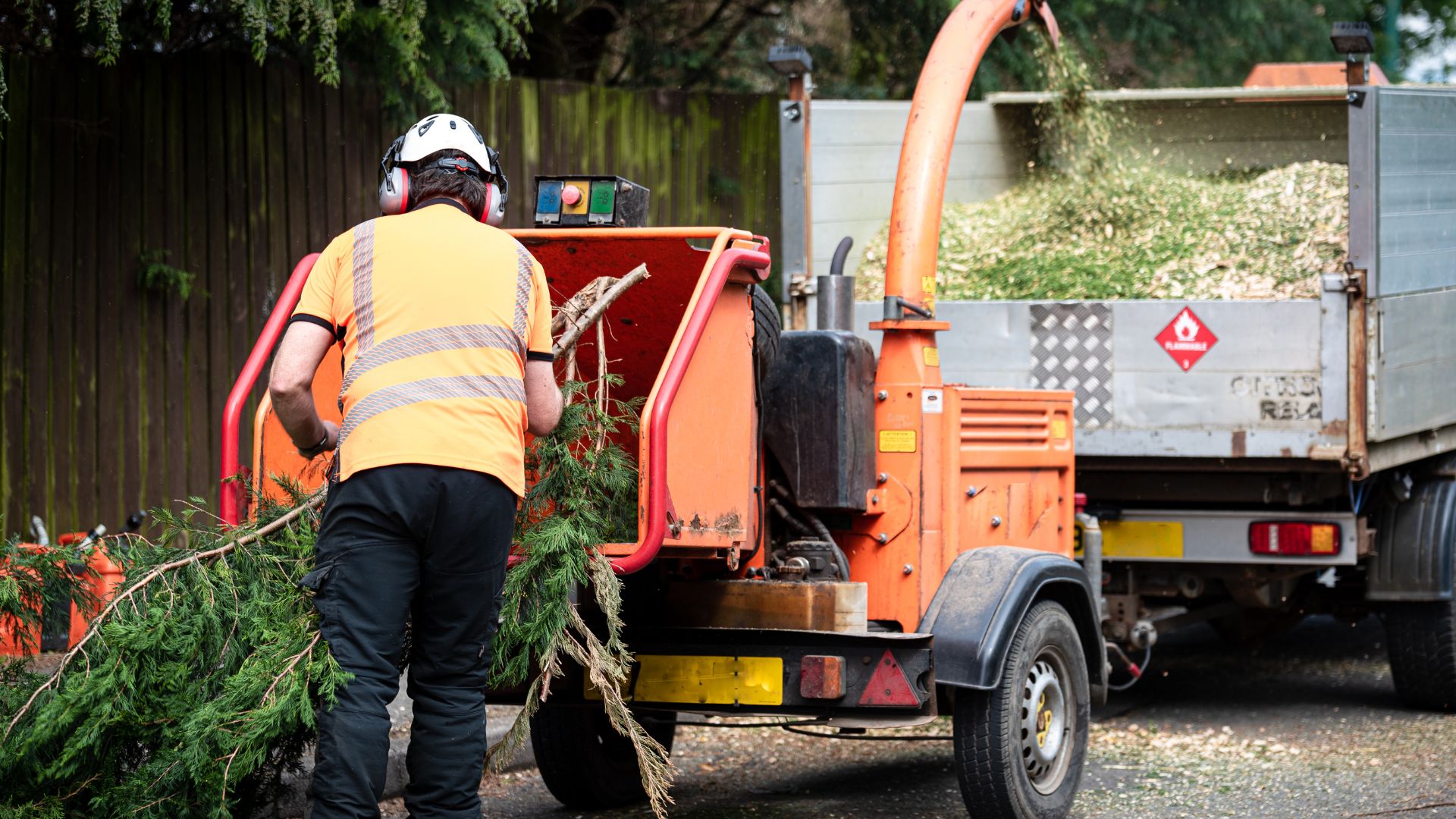 Man in high-vis vest putting tree into wood chipper