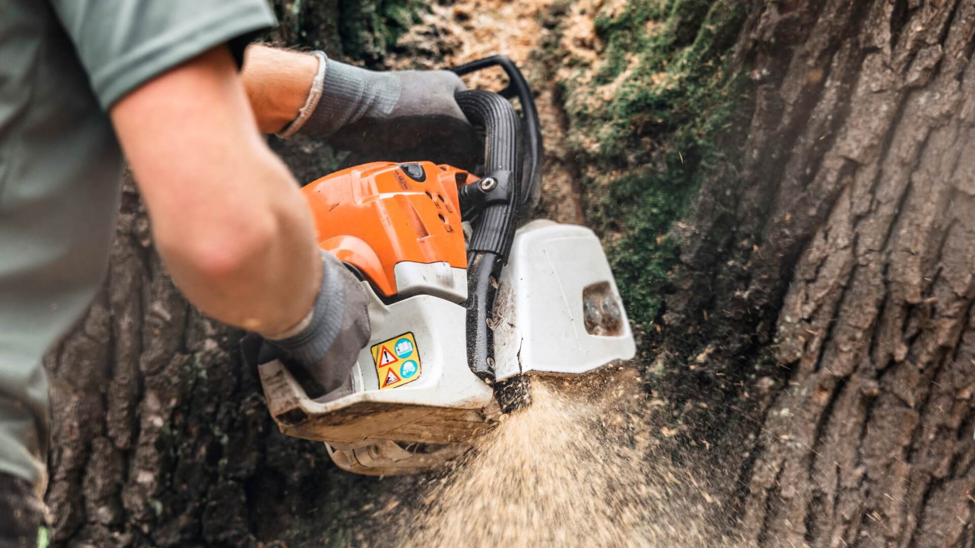 Close up of person wearing gloves using tools.