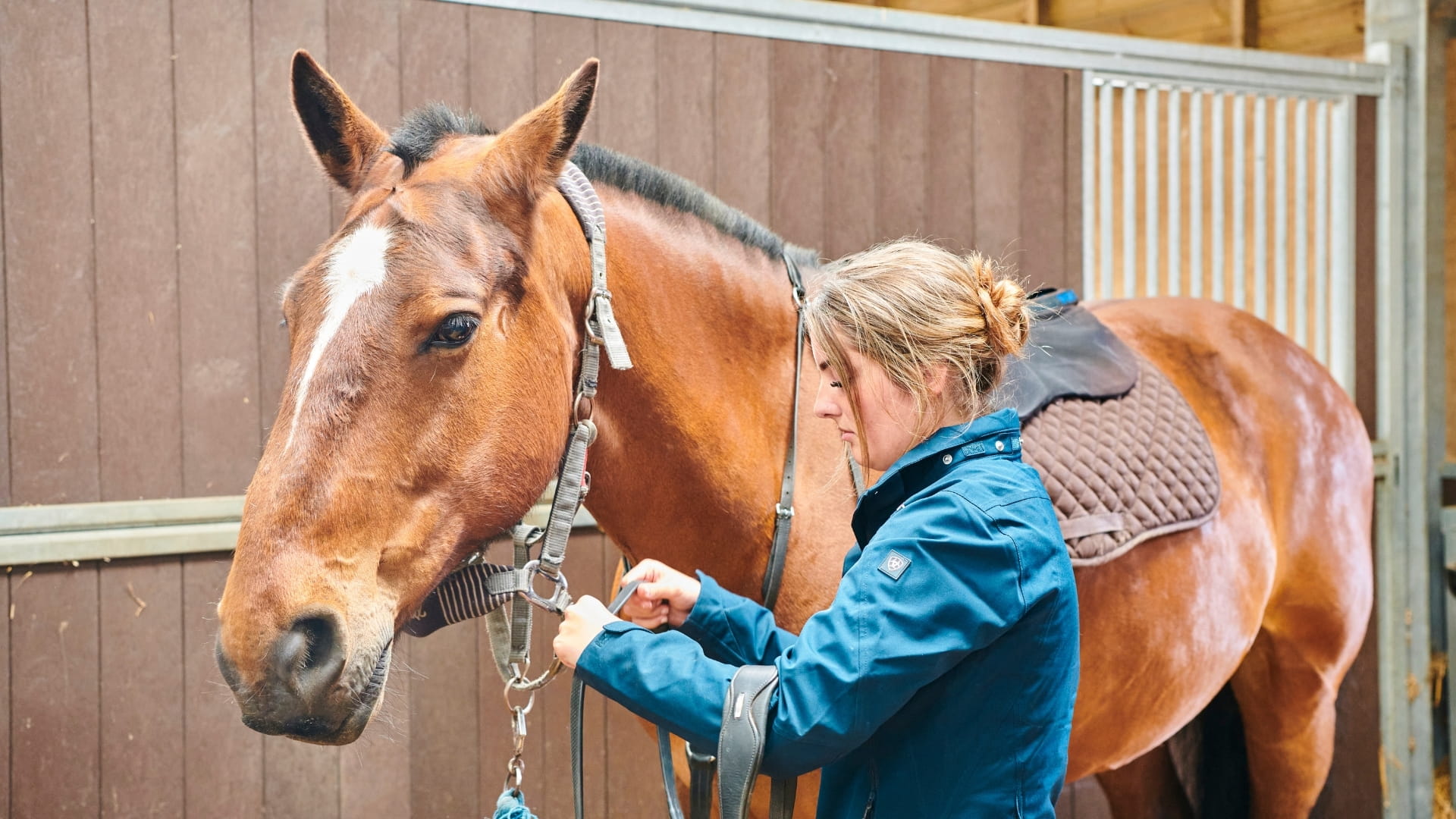 Closeup of student and horse
