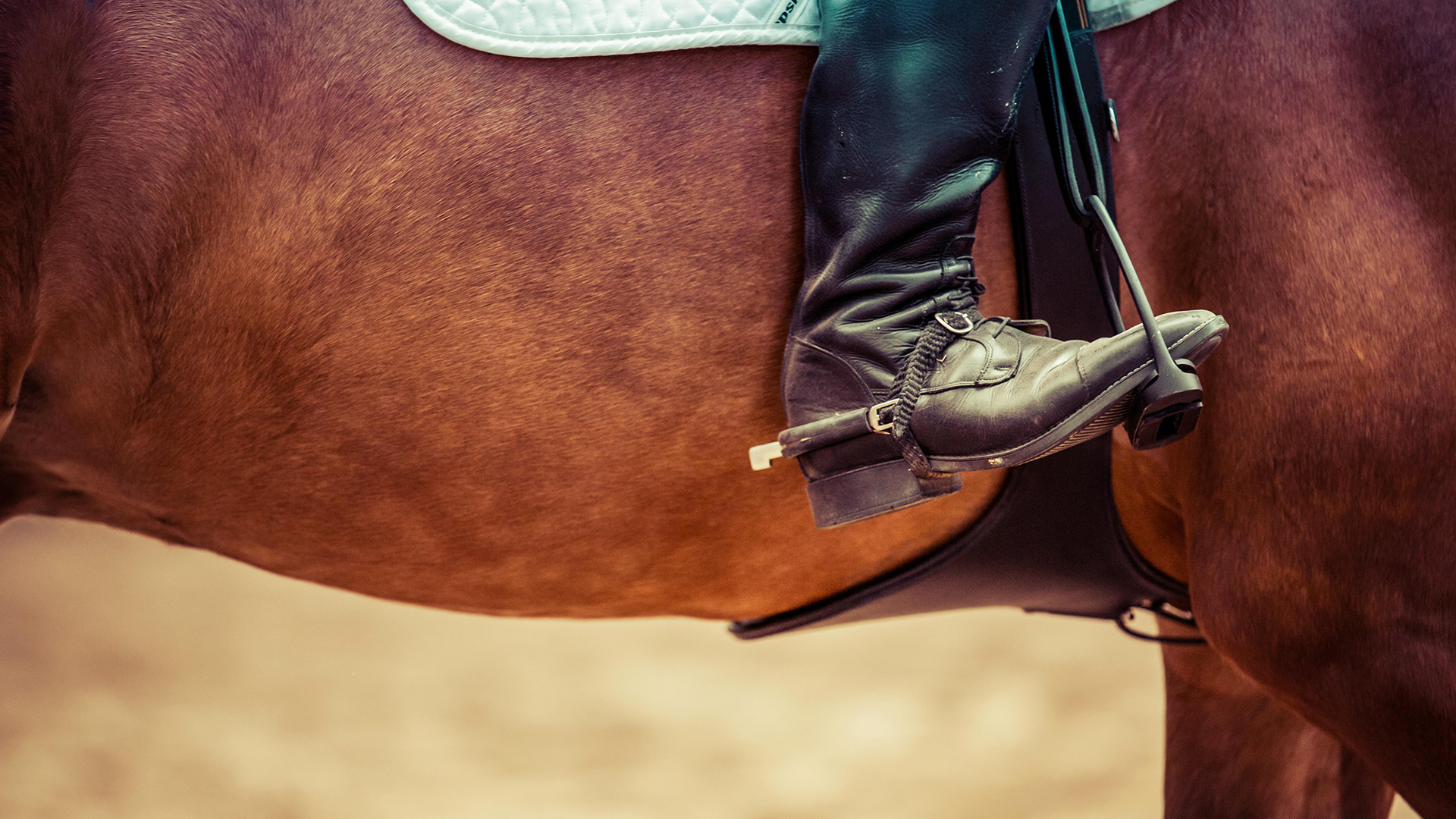 Close up of horse riders boots in stirrups.