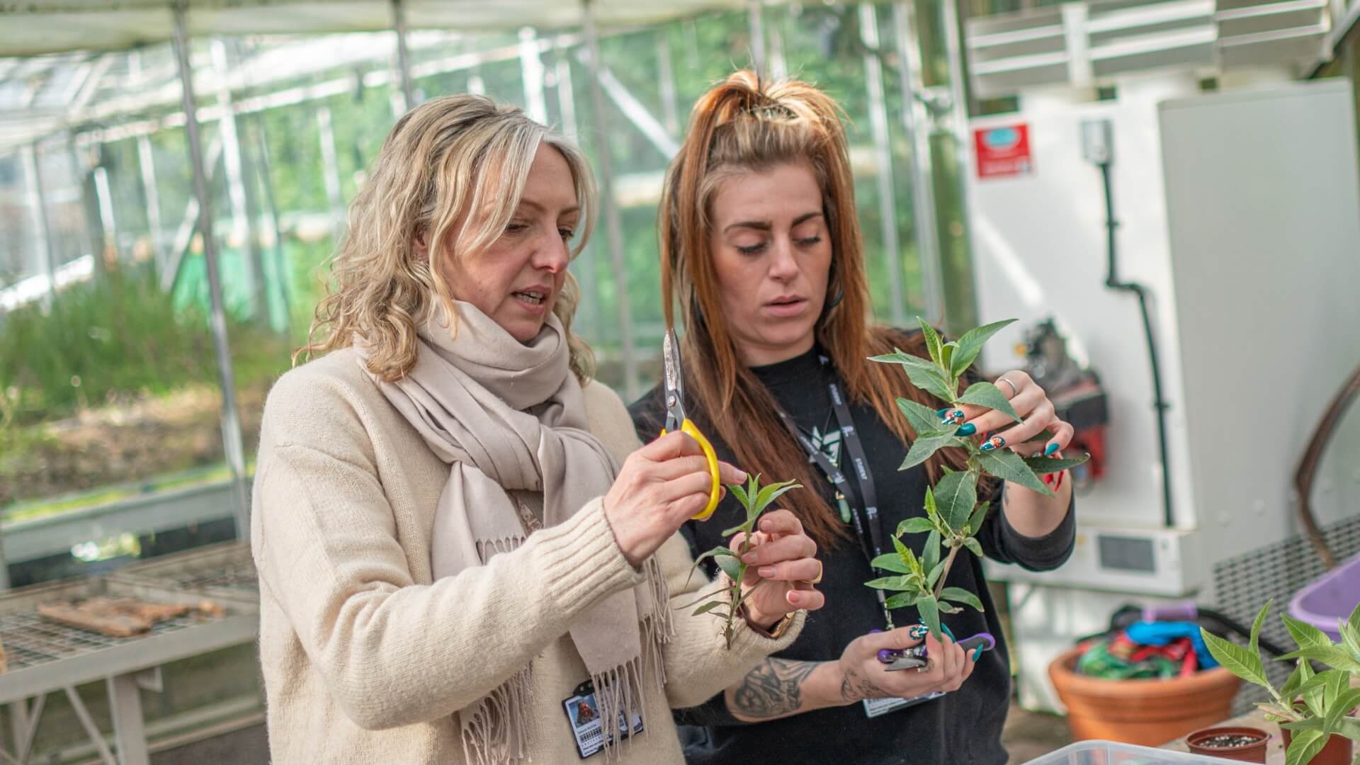 Two horticulture students discussing a plant.