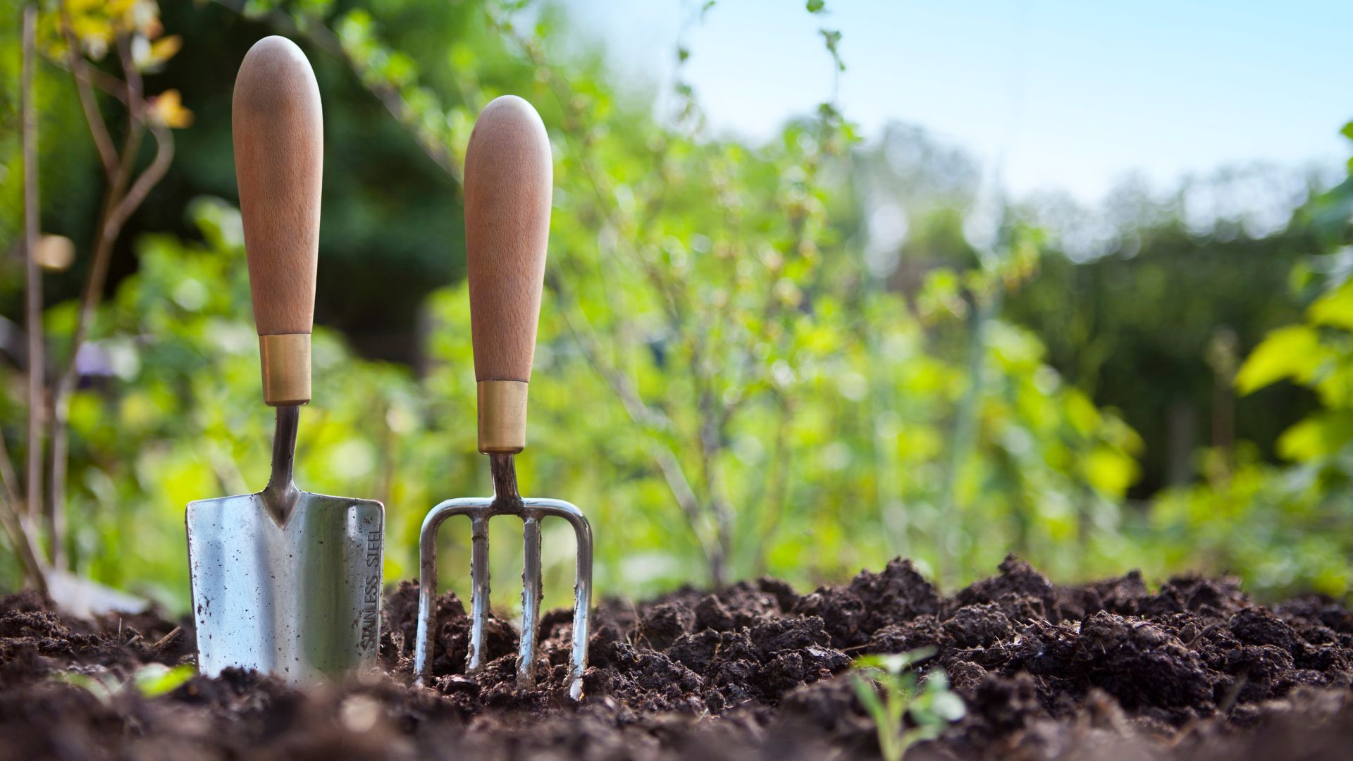 trowel and pitchfork in mud.