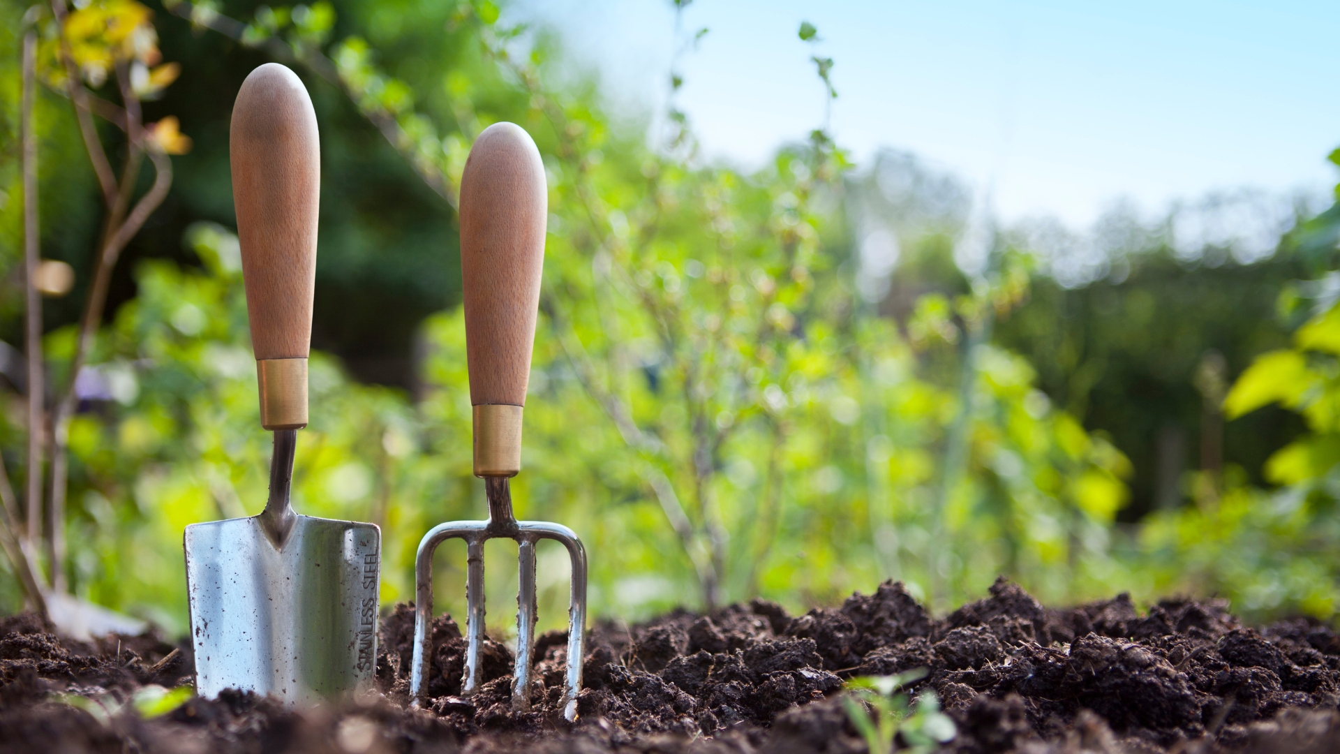 Gardening tools stuck in mud.