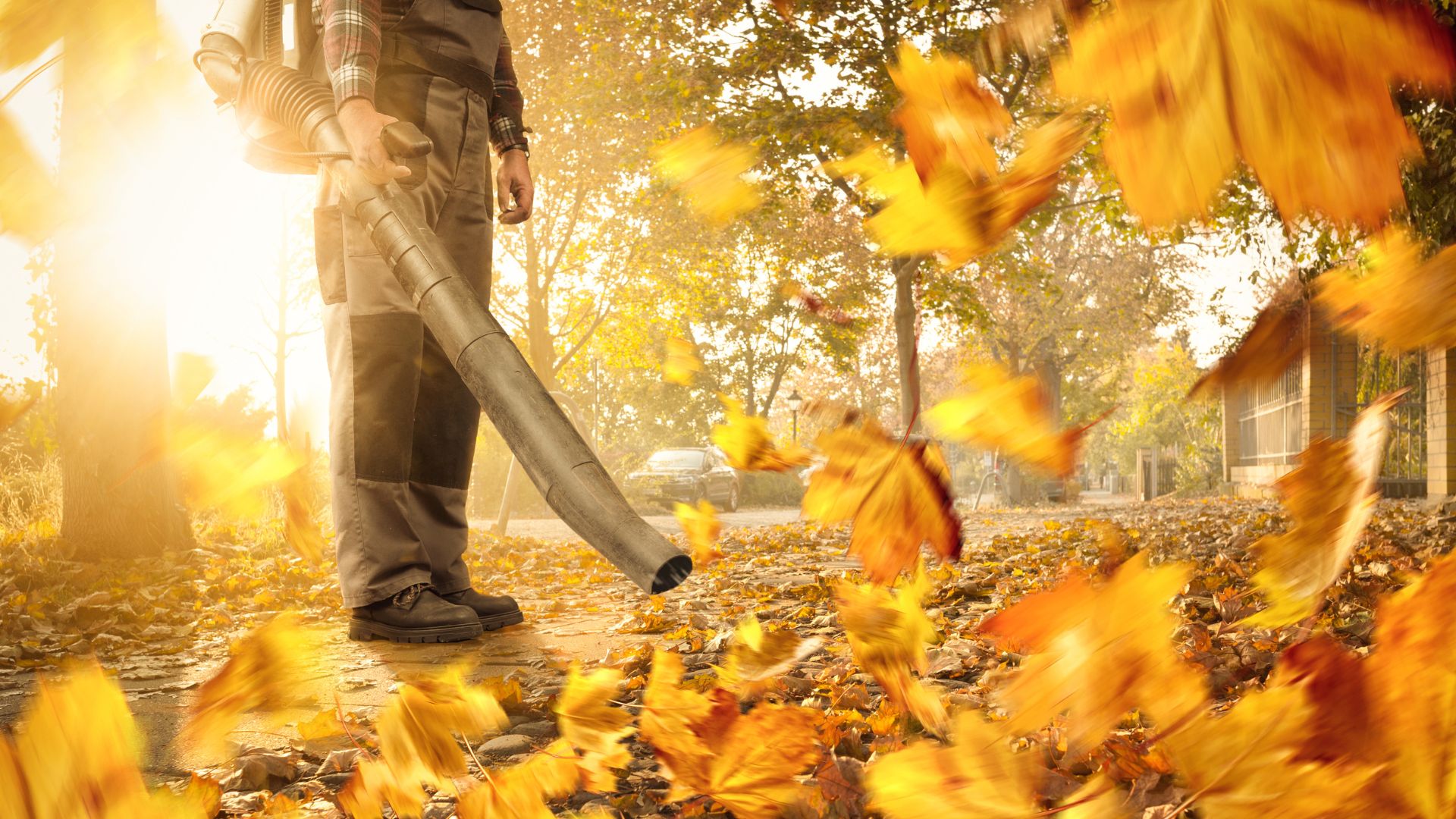 Person using leafblower blowing leaves.