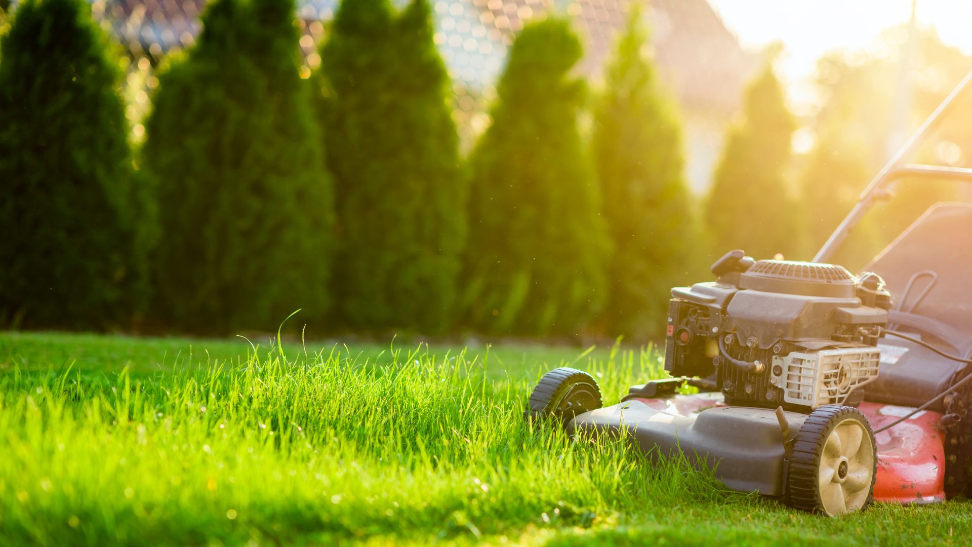 Lawnmower mowing grass.