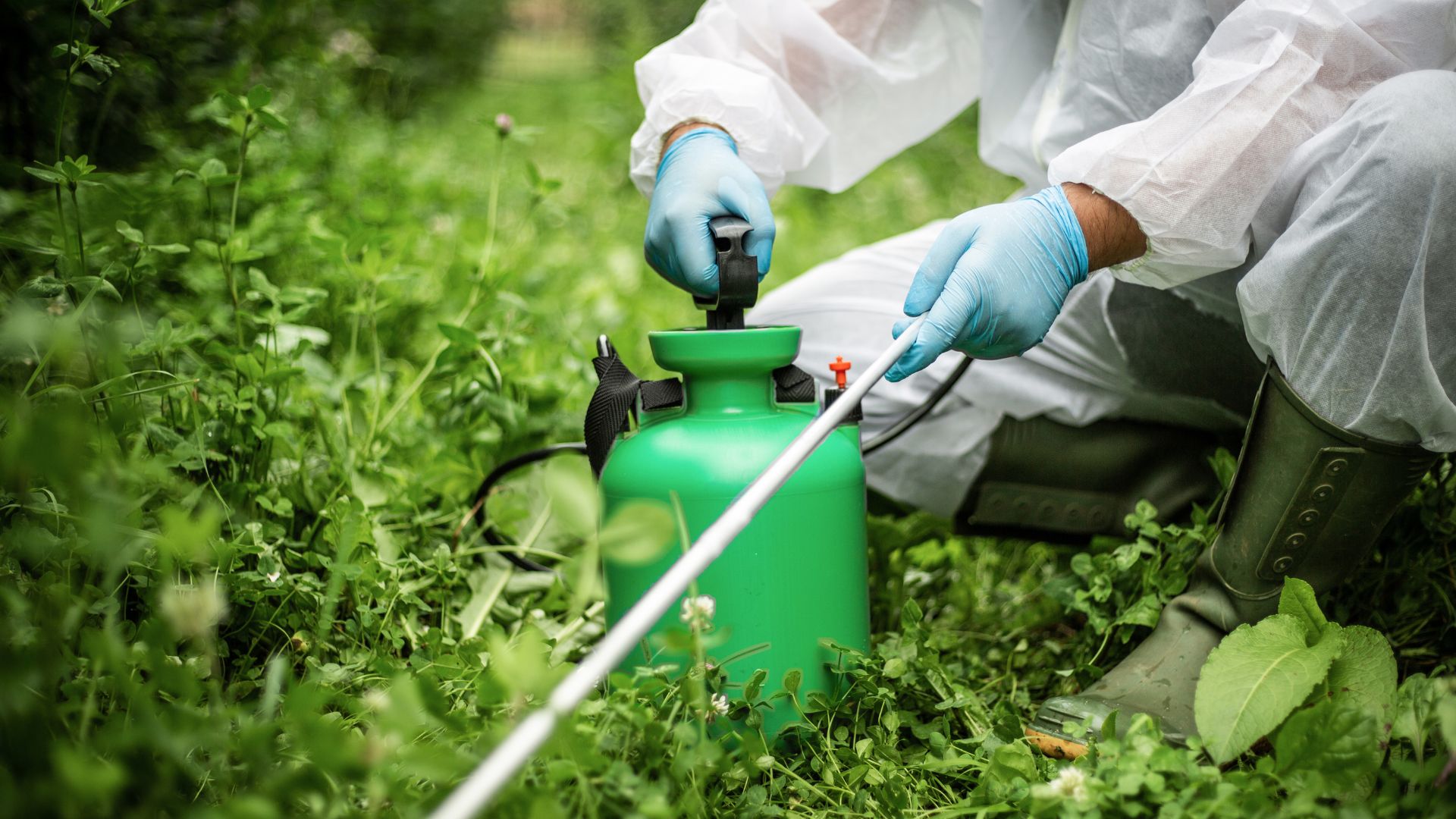 Person wearing gloves holding pesticide spray container