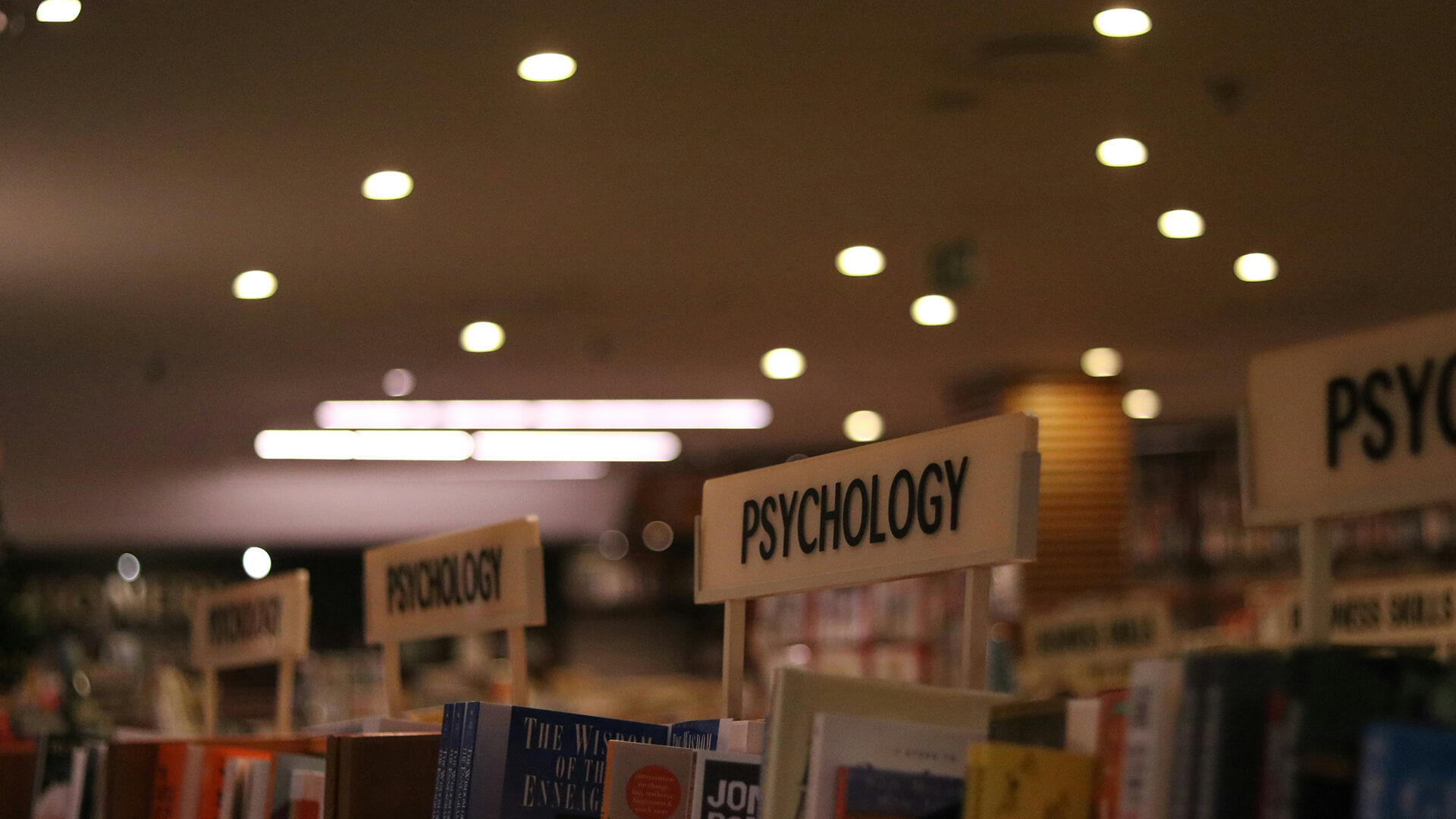 Young woman sat in the library reading a book.