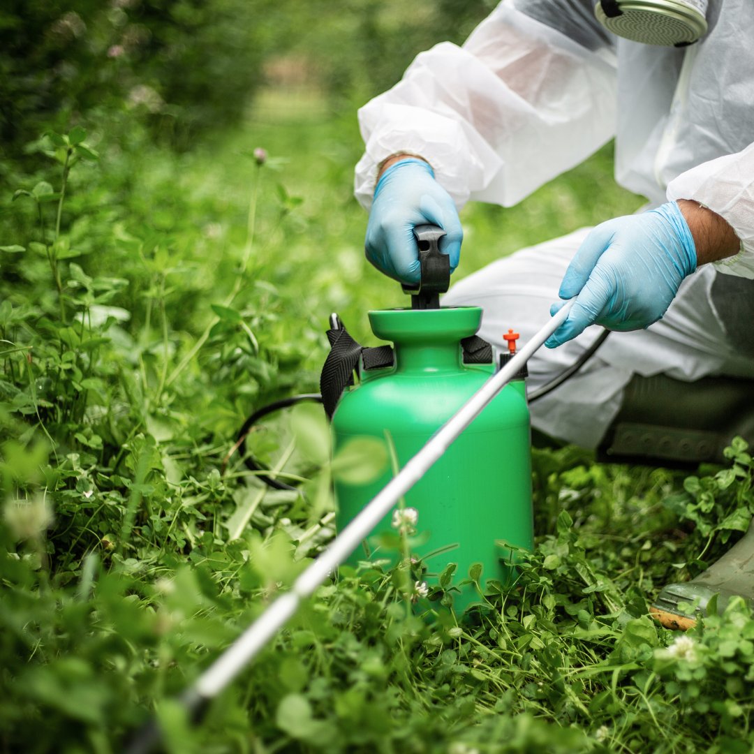 Man applying pesticides using handheld equipment.