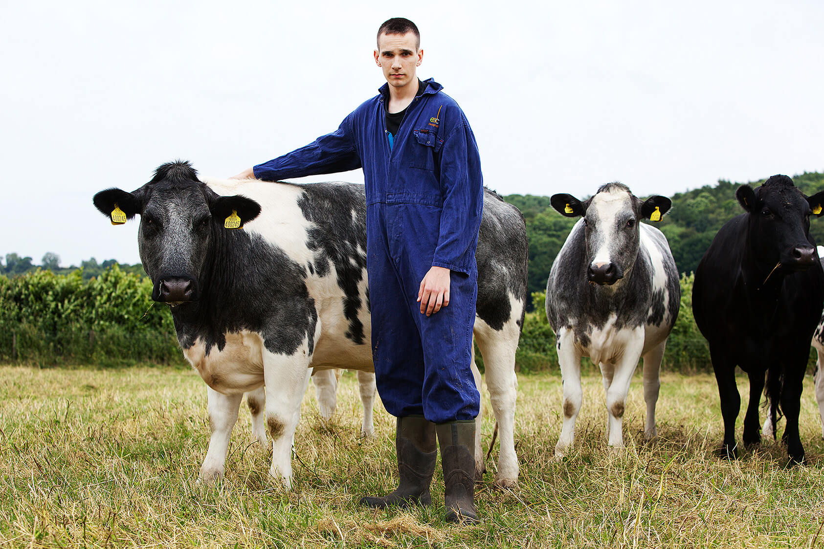 Farmer standing with cows in field