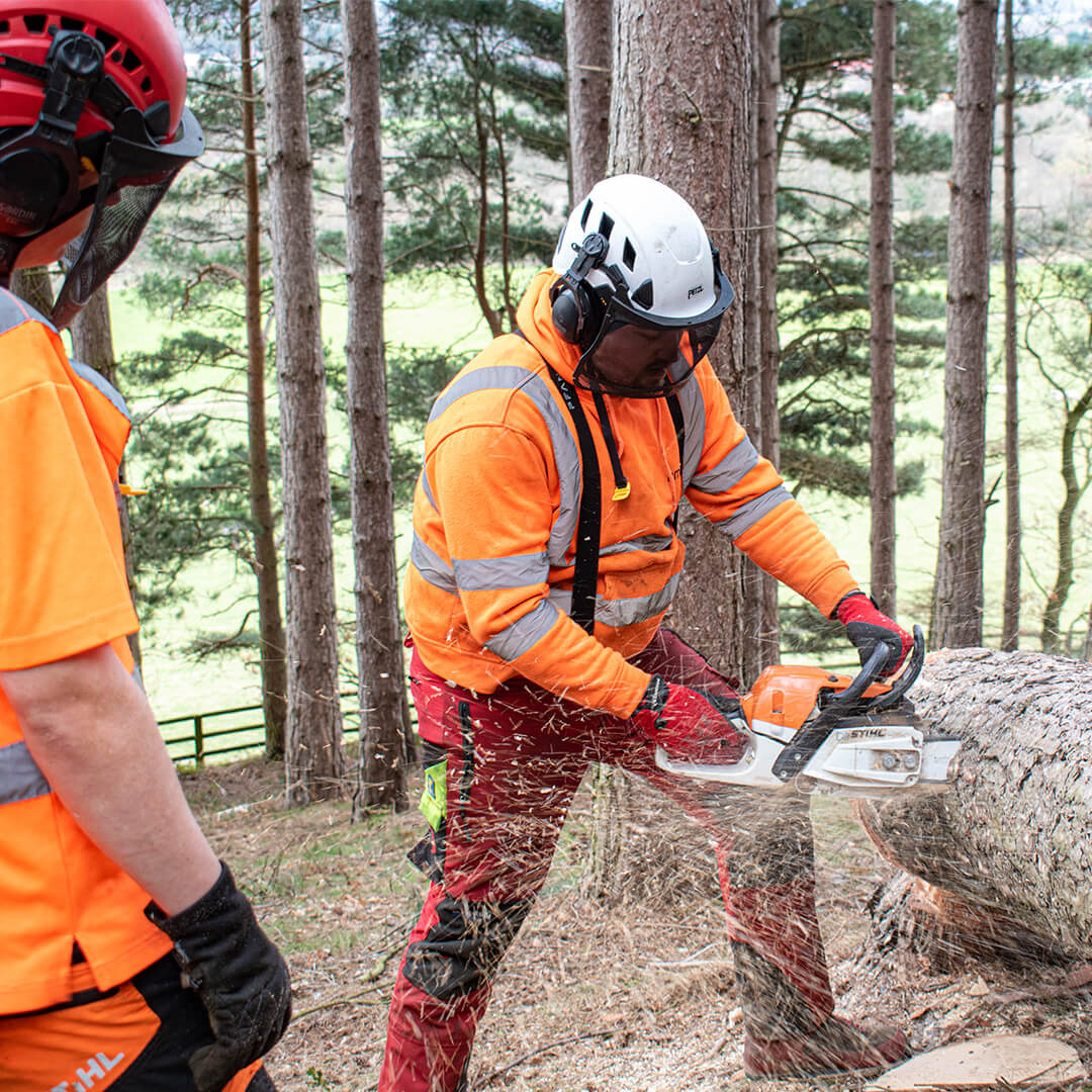 Man chainsawing log