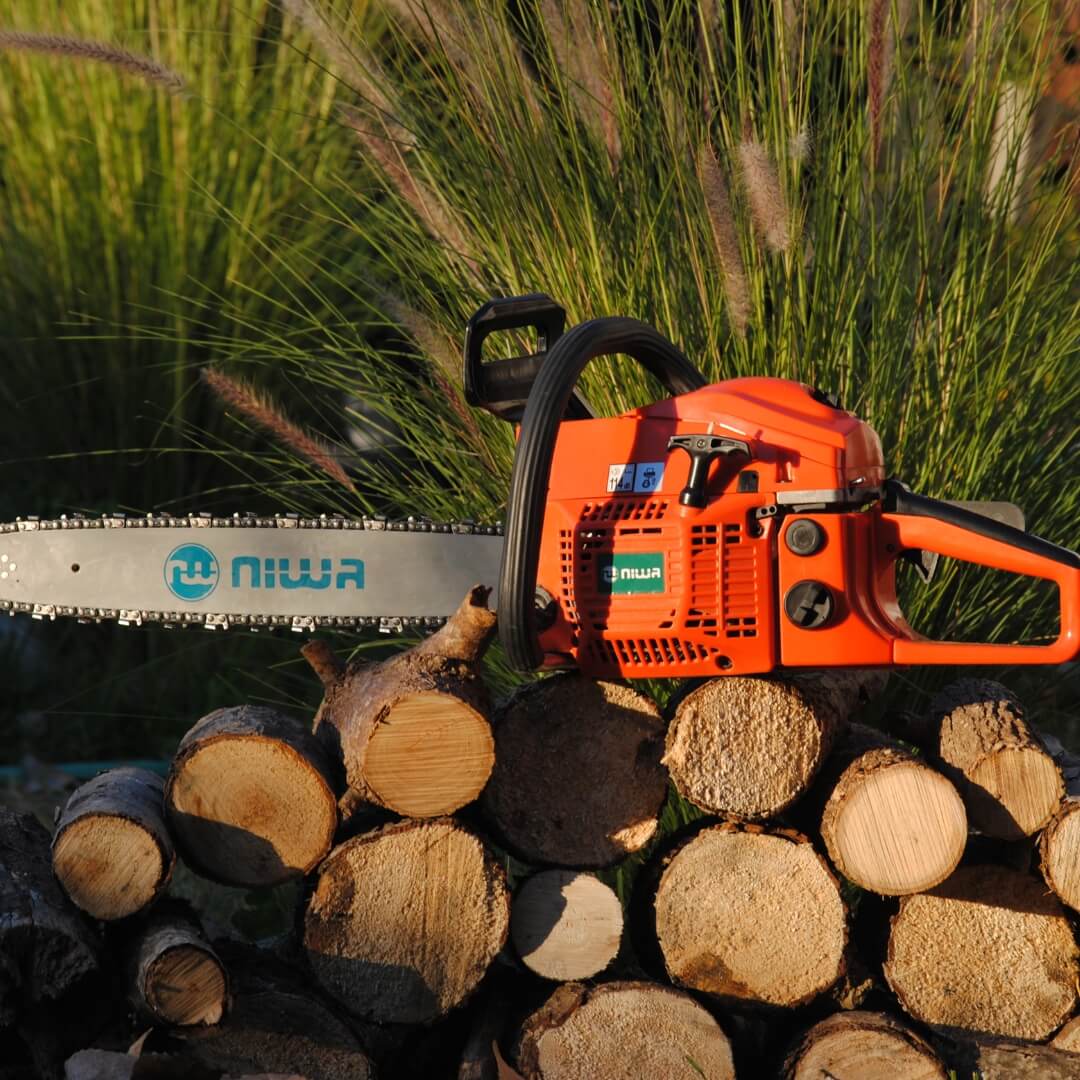 Person using chainsaw to cut tree branch.