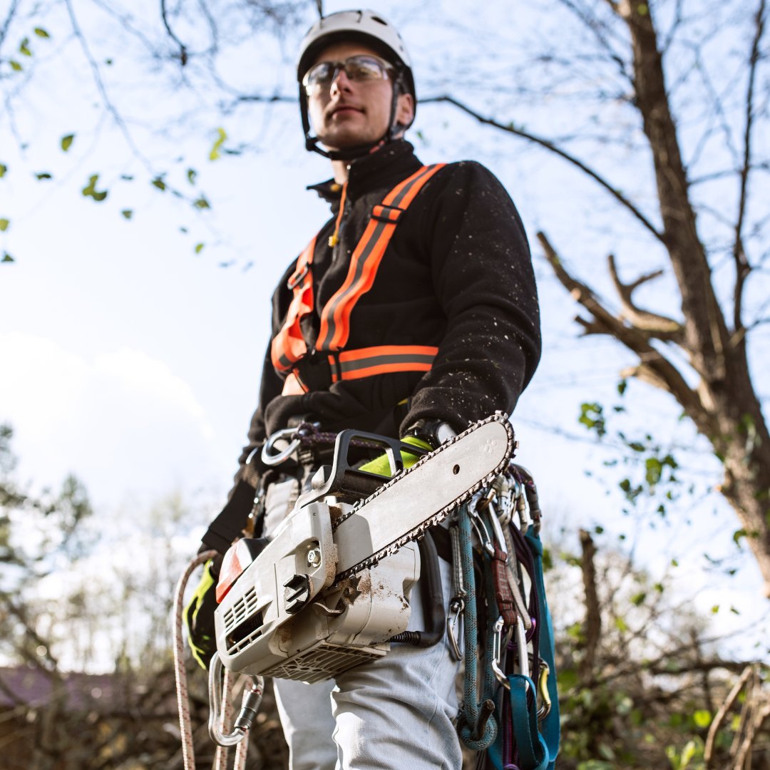 Man standing holding chainsaw.