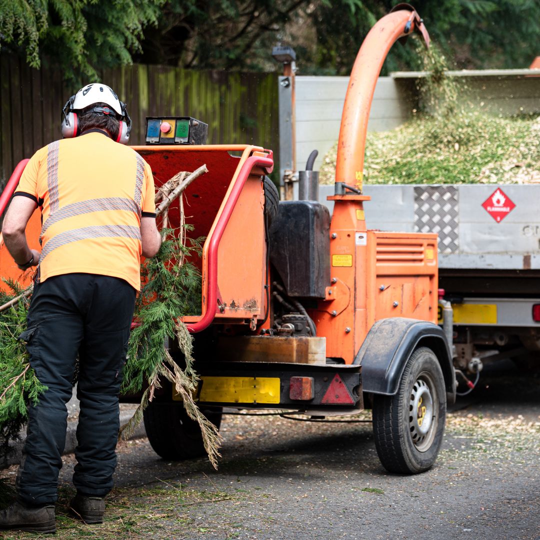 Man in high-vis vest putting tree into wood chippe