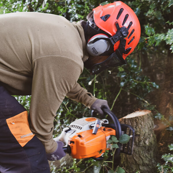 Man in high vis safety jacket, hard hat and safety goggles holding an electric saw, cutting up a tree.