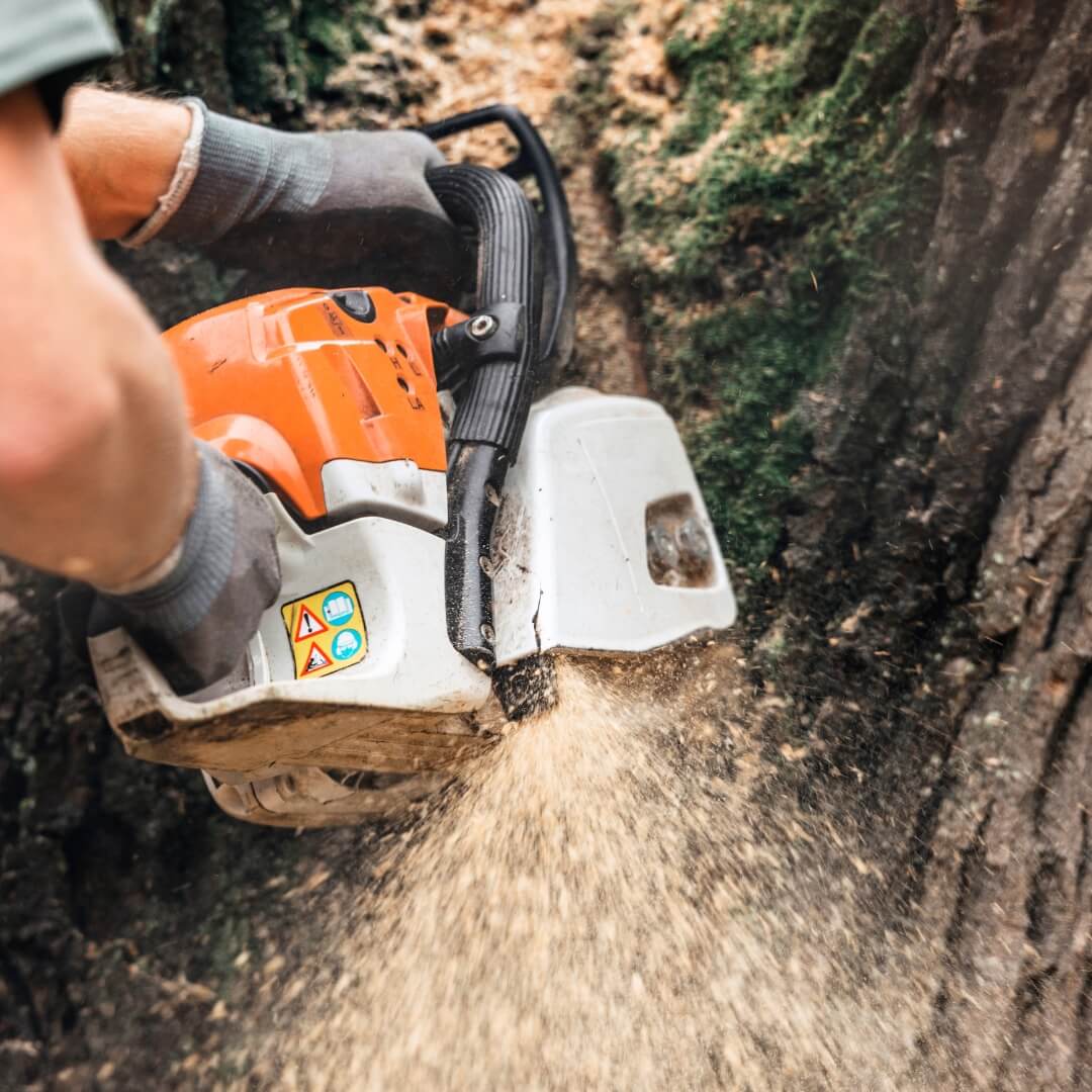 Person using chainsaw on tree.