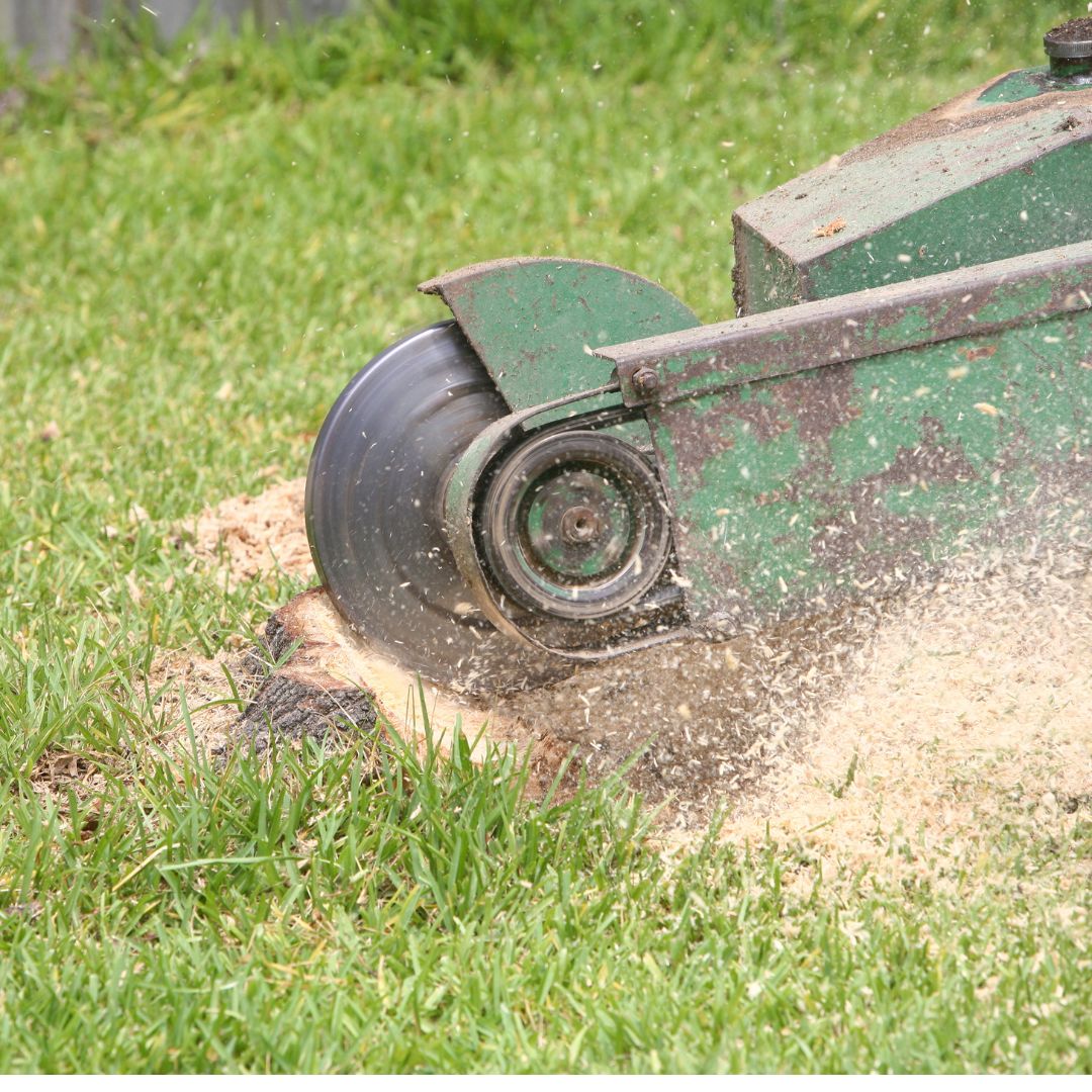 Close up of stump grinder.