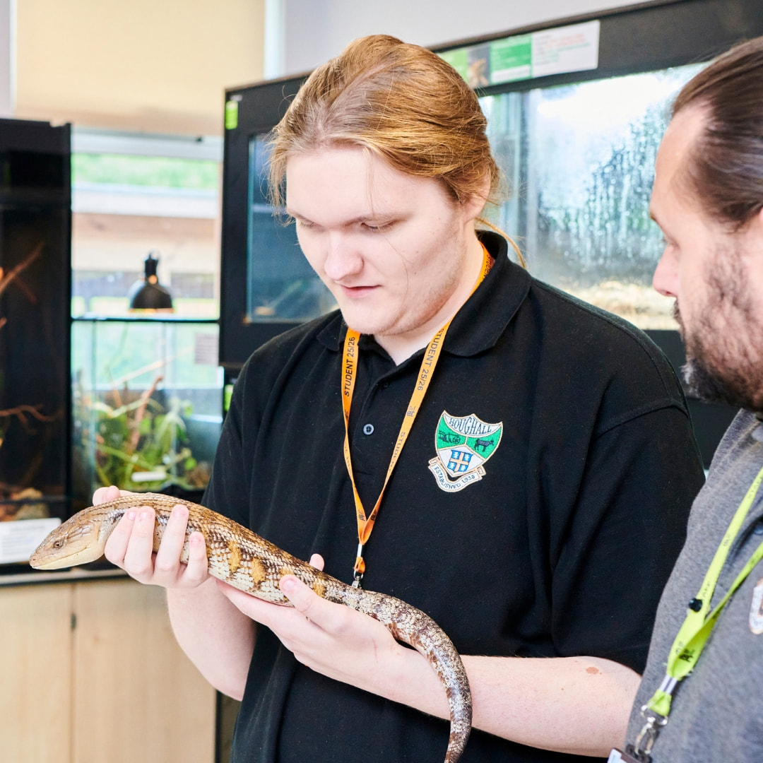 Man holding small reptile