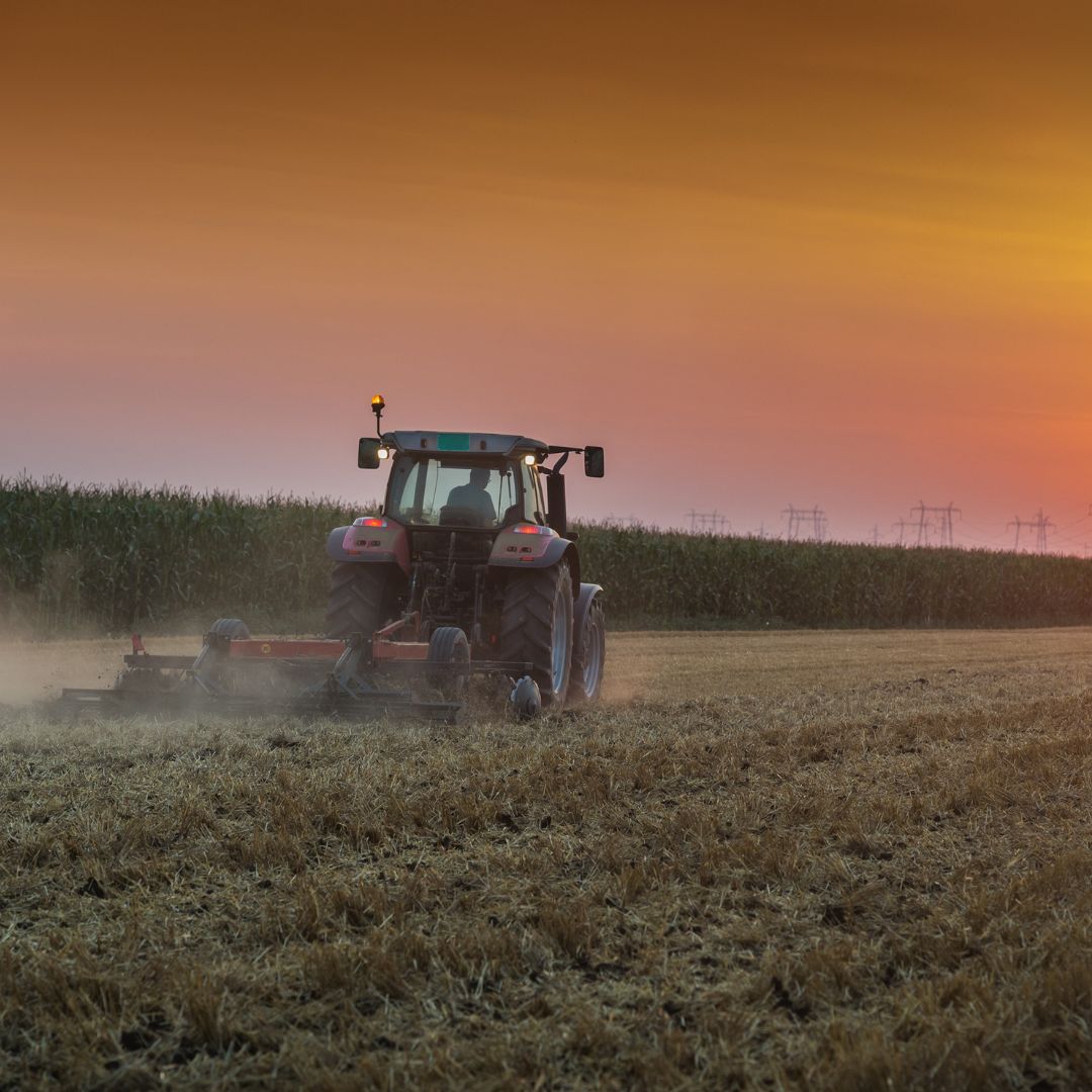 Farmer driving a tractor through wheat fields.