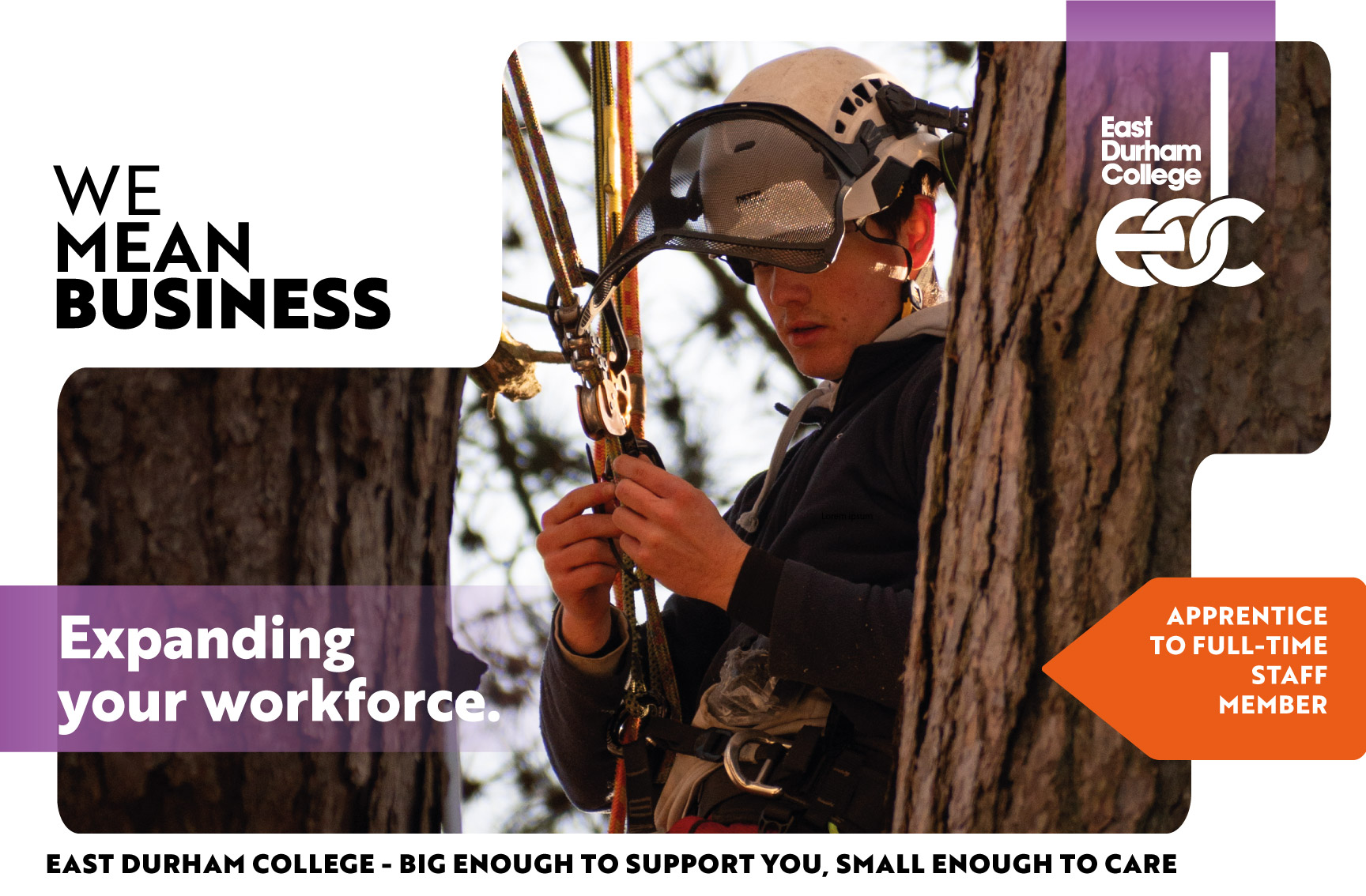 Arborist wearing helmet between tree trunks