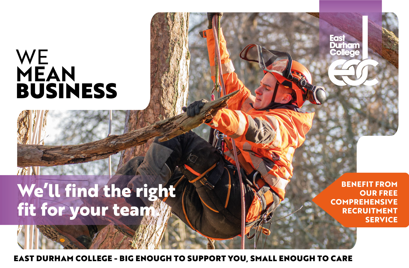 Arborist wearing high vis suspended from tree