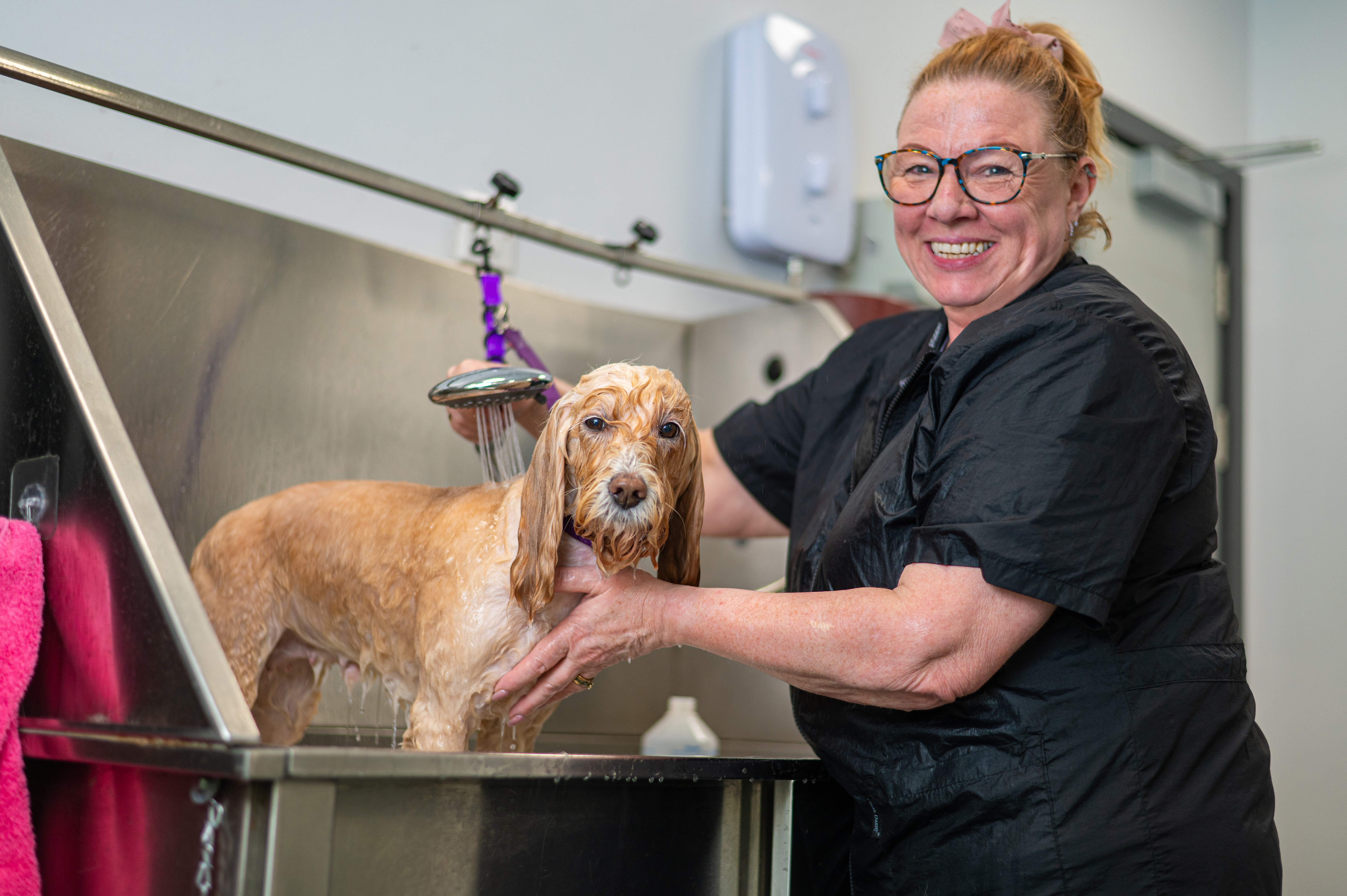 Female student smiling at camera washing small dog
