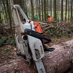 Chainsaw resting of a log in the woods 