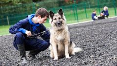 A student in a blue boiler suit kneeling next to a dog in the dog agility area