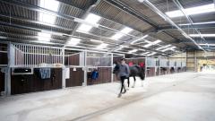 Interior of the East Durham College Houghall Campus equine centre stables with someone walking a horse 