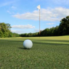 Golf ball on green in front of flag