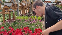 Student leaning over bed of flowers